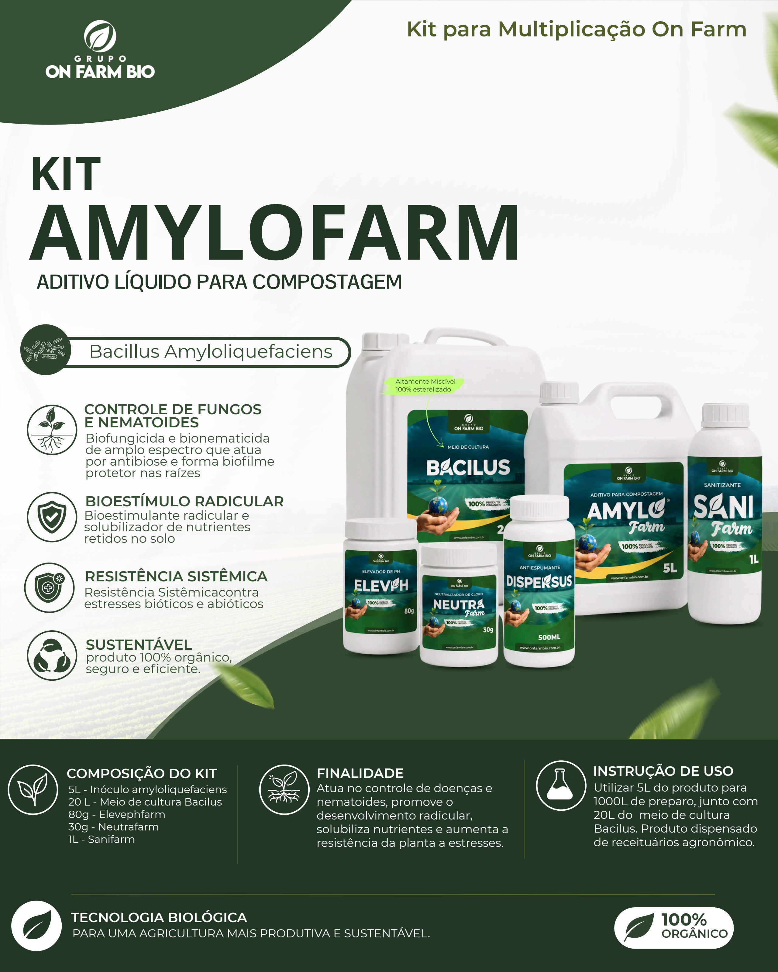 Embalagem KIT AMYLOFARM